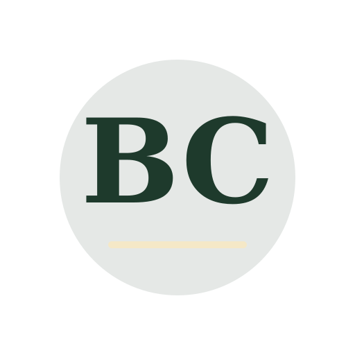 Bopal Chimney Services logo